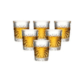 Set of 6 Heavy Base Shot Glasses